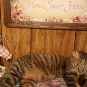 Meet your Posher, John a